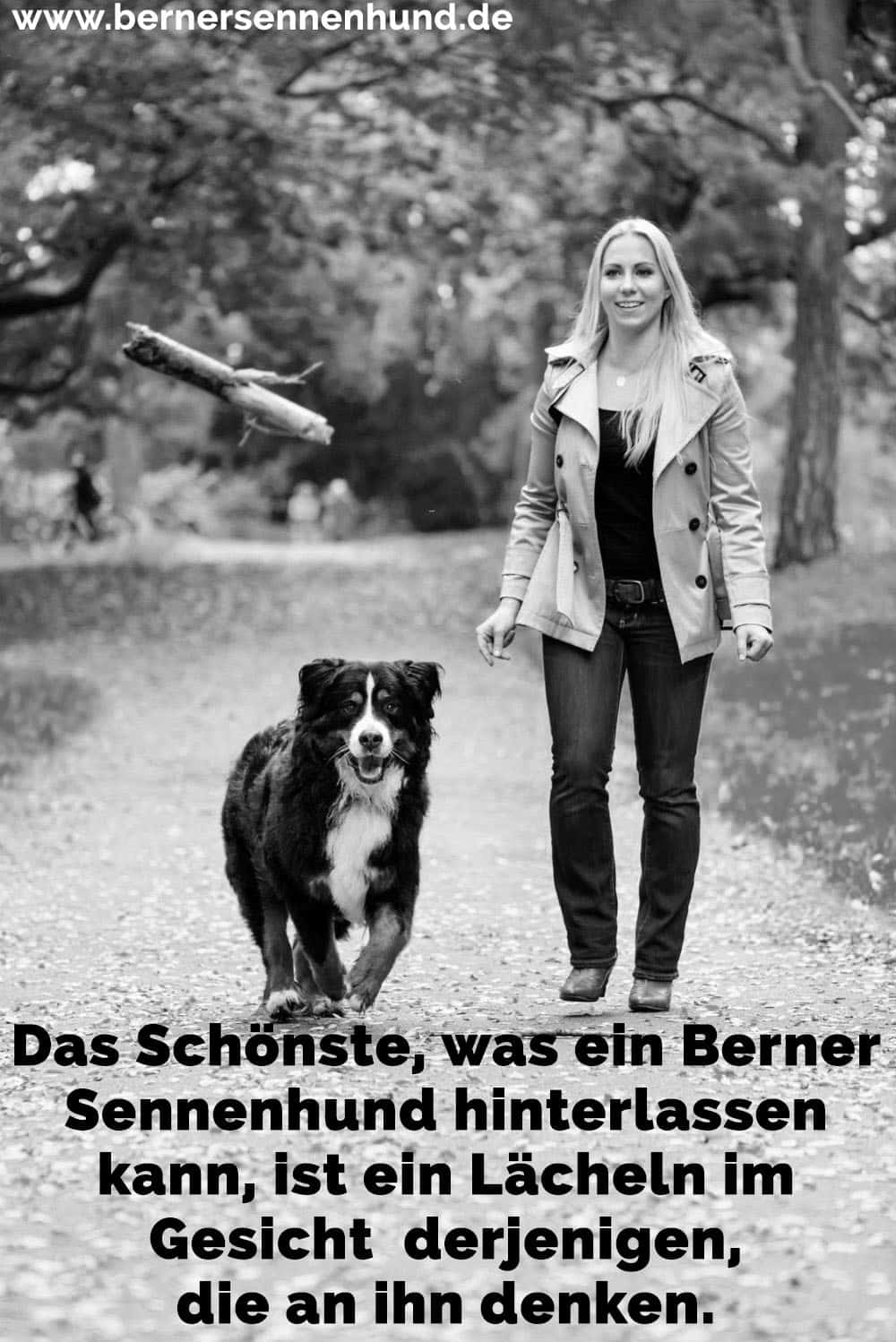 Eine Frau und ihre Berner Sennenhund Spaziergang im Park